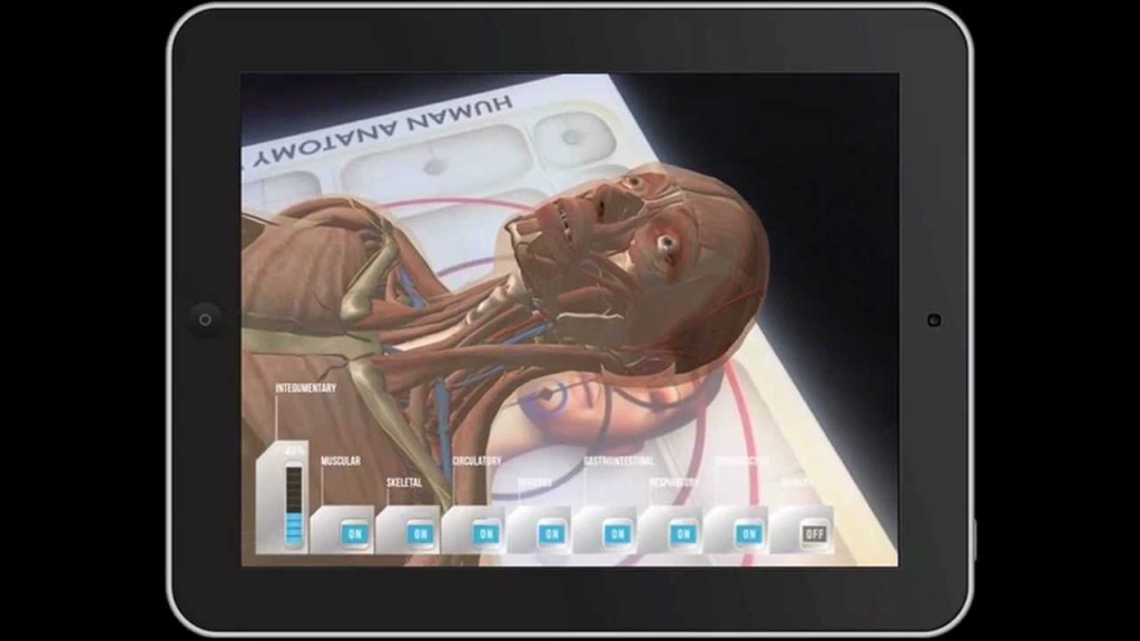 Anatomy 4D by DAQRI Schwingi