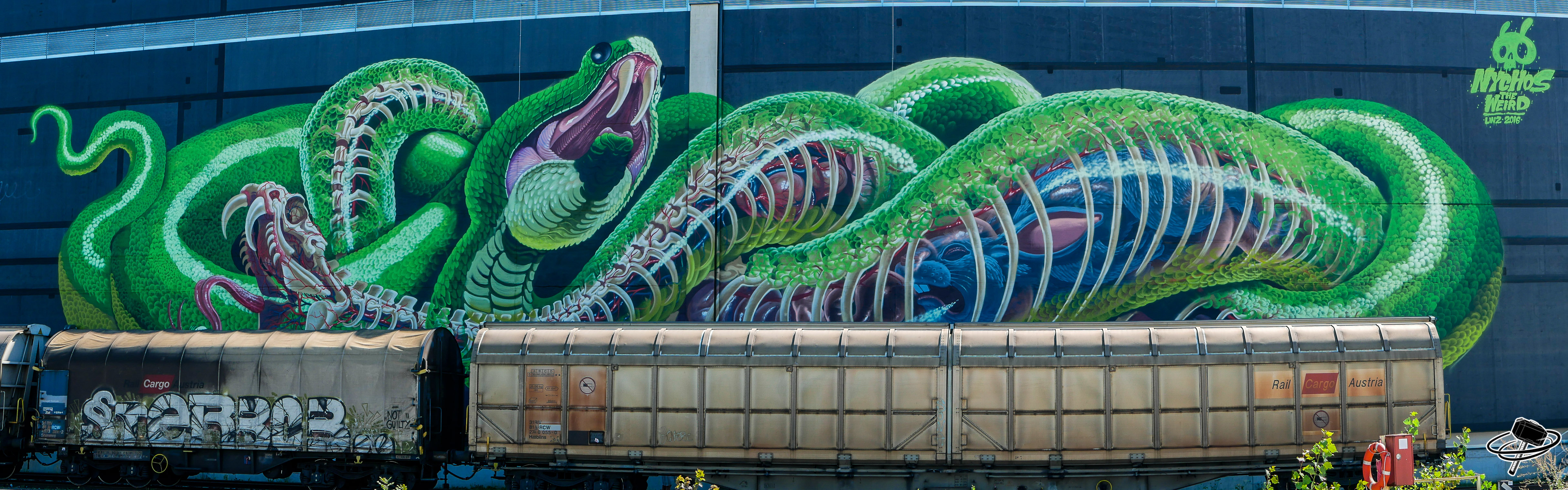 Translucent Snake by Nychos